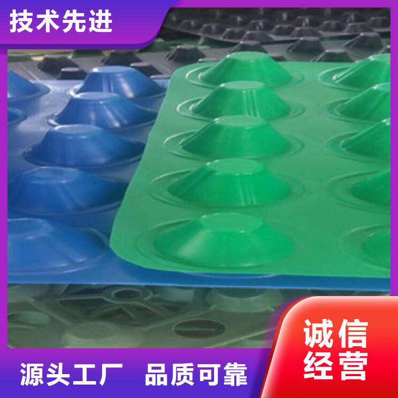 塑料排水板,排水板厂家用途广泛