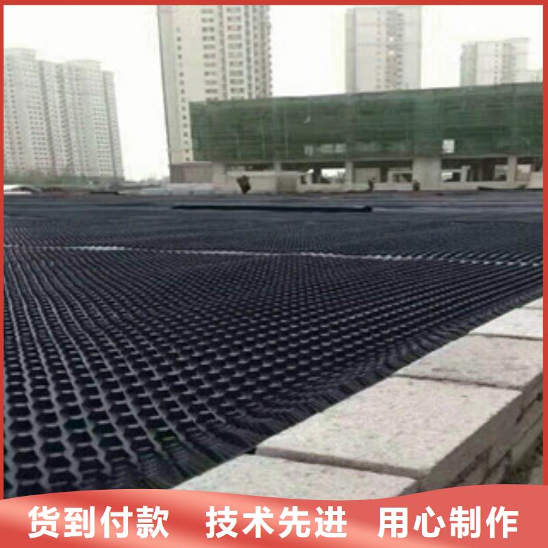 塑料排水板,排水板厂家用途广泛