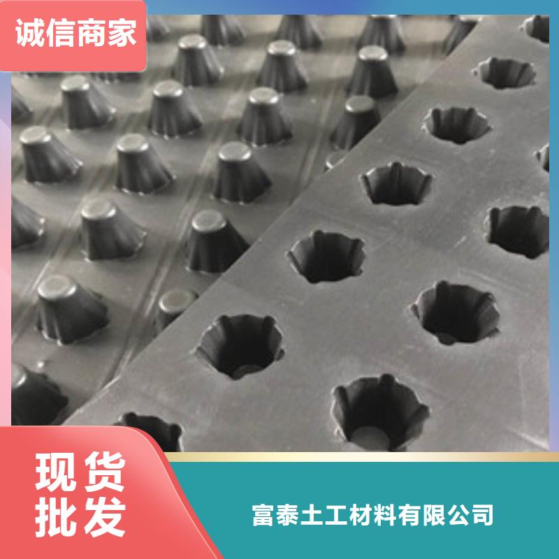 塑料排水板植草格厂家工厂采购