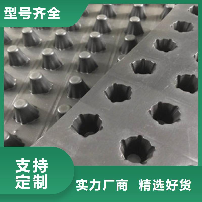 蓄排水板厂家视频-兰州市蓄排水板厂家-【周边】可服务区域西固|红古|临夏|定西|白银|酒泉
