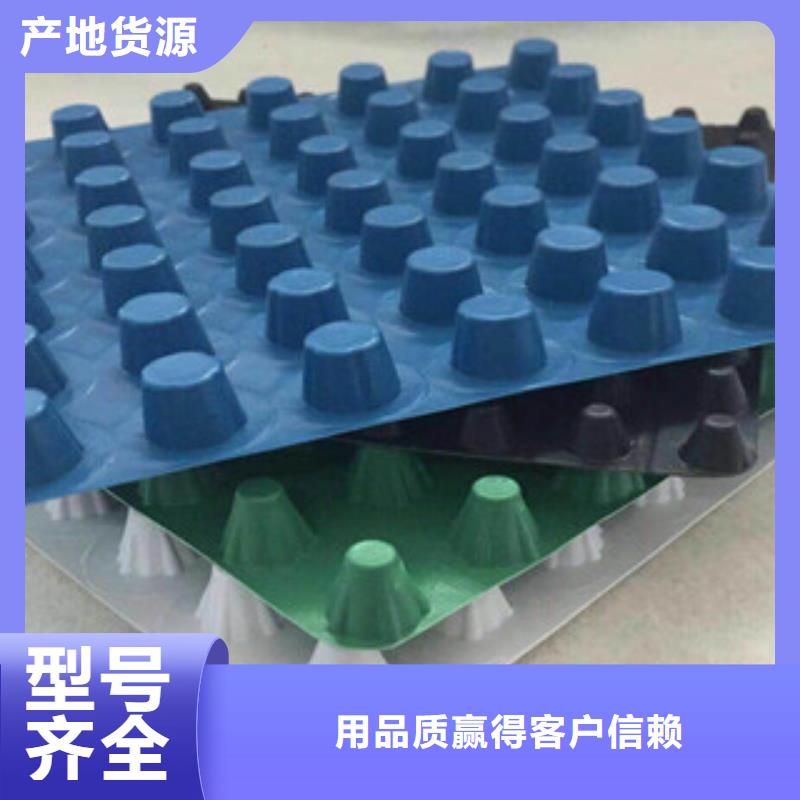 塑料排水板植草格厂家品质可靠