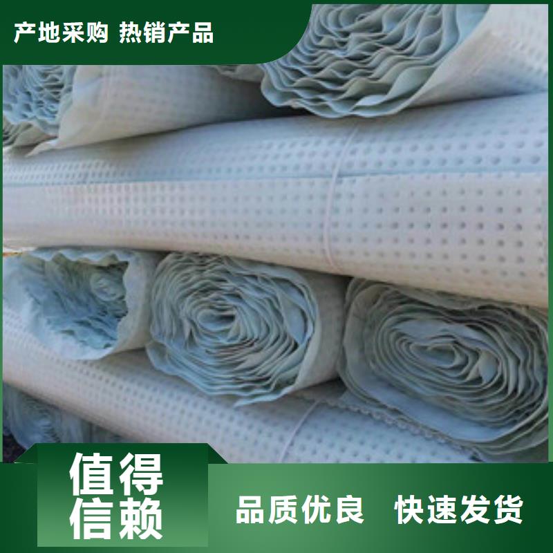 塑料排水板植草格厂家工厂采购