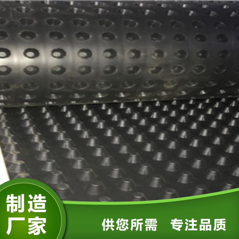 塑料排水板植草格厂家工厂采购