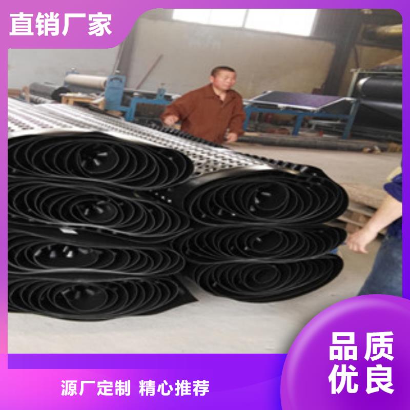 塑料排水板植草格厂家品质可靠