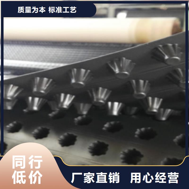 塑料排水板植草格厂家品质可靠