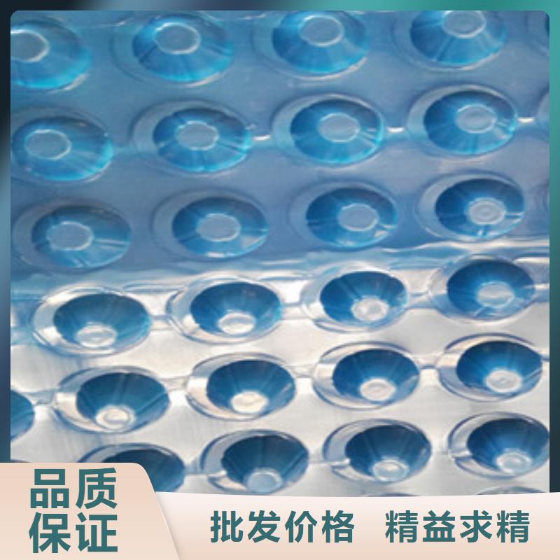 塑料排水板植草格厂家品质可靠