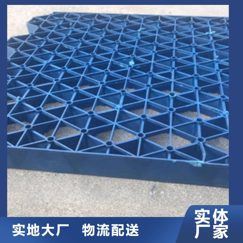 植草格土工布厂家详细参数