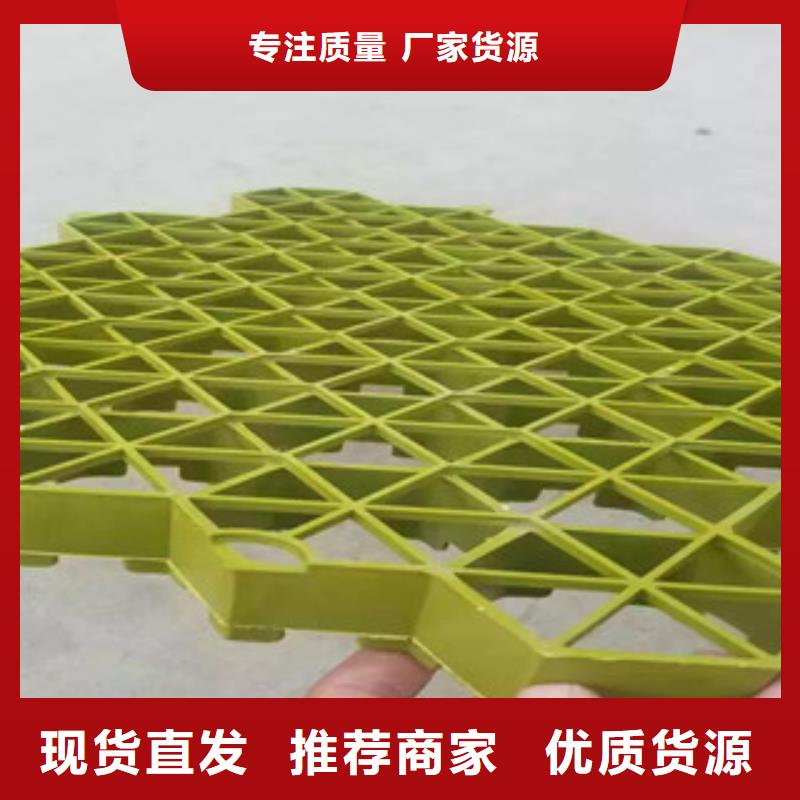 植草格土工布厂家详细参数