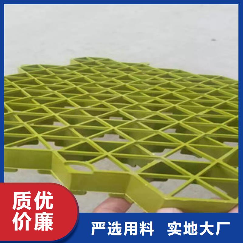 蓄排水板厂家视频-建昌|连山|本溪|朝阳|辽阳|铁岭|阜新|锦州蓄排水板厂家一手价格-富泰土工材料(葫芦岛市分公司)