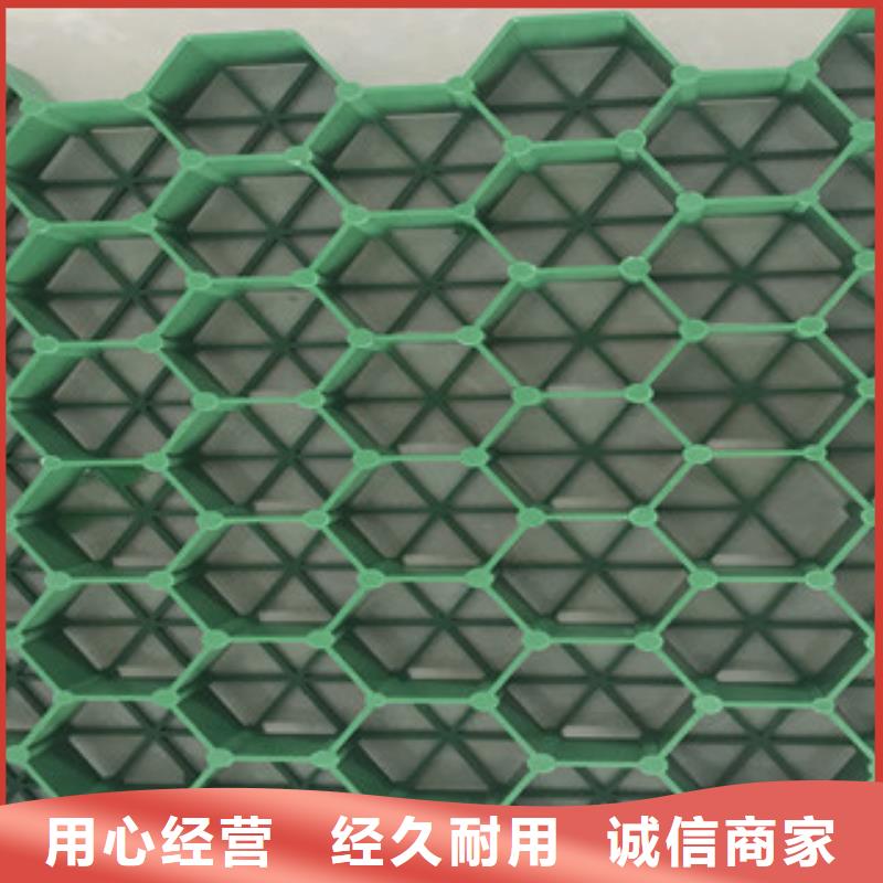 植草格,土工膜厂家源头厂家量大价优