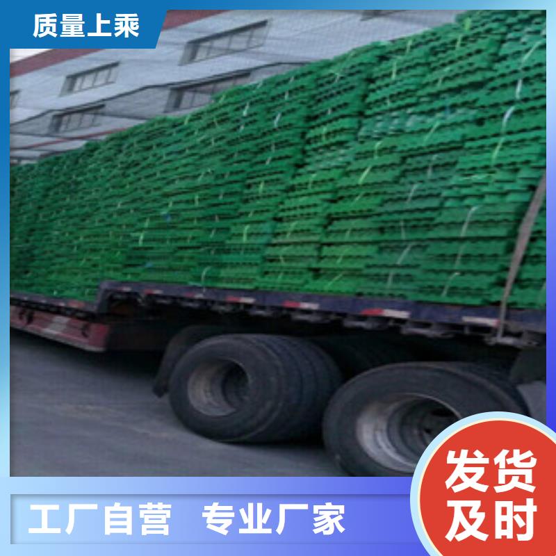 植草格膨润土防水毯厂家高标准高品质