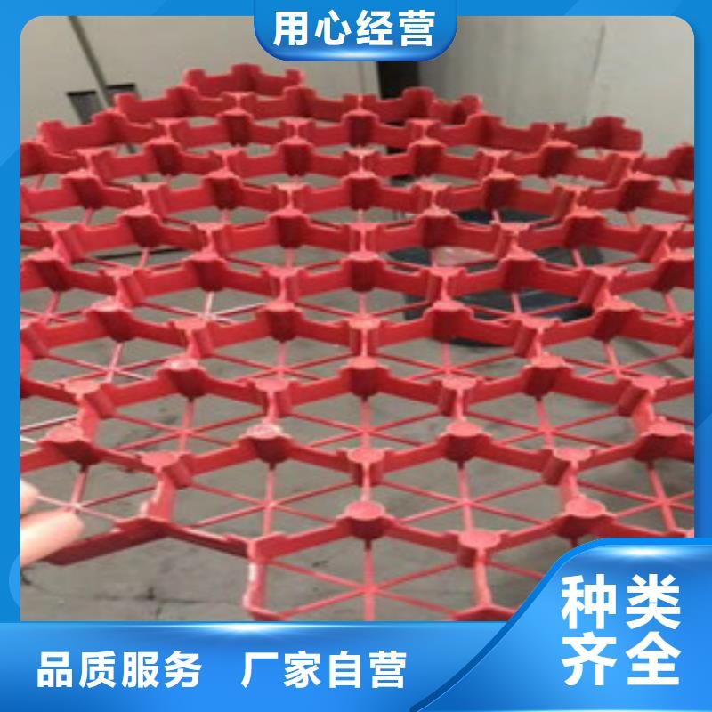 蓄排水板厂家视频-贵阳市蓄排水板厂家-附近可服务区域乌当|云岩|毕节|安顺|黔南|铜仁|黔东南