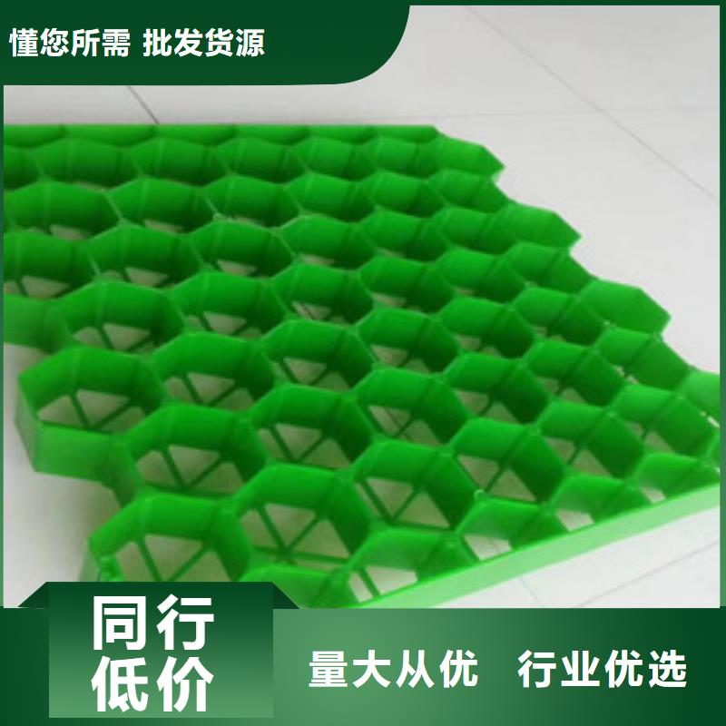 植草格植草格厂家物美价优