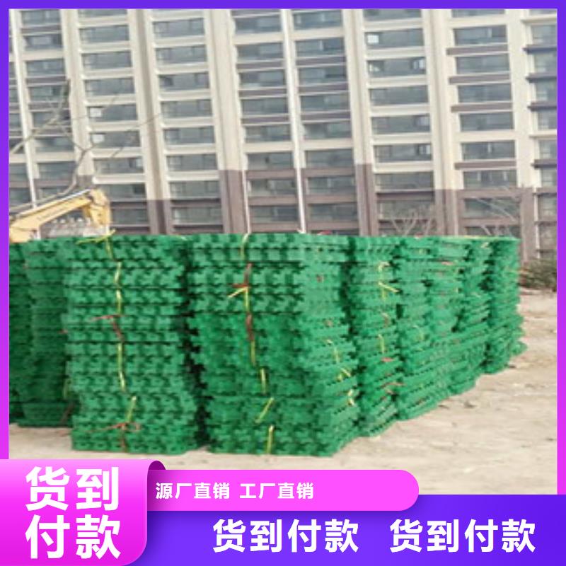 植草格-无纺布厂家N年专注