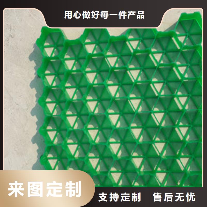 植草格蓄排水板厂家大品牌值得信赖