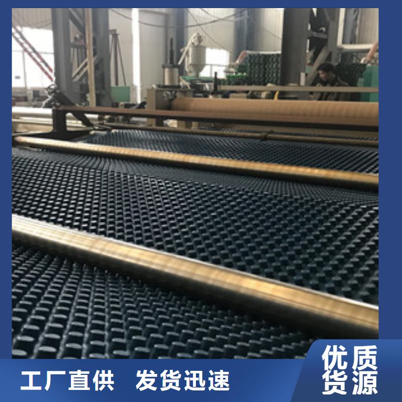 排水板,植草格厂家真实拍摄品质可靠