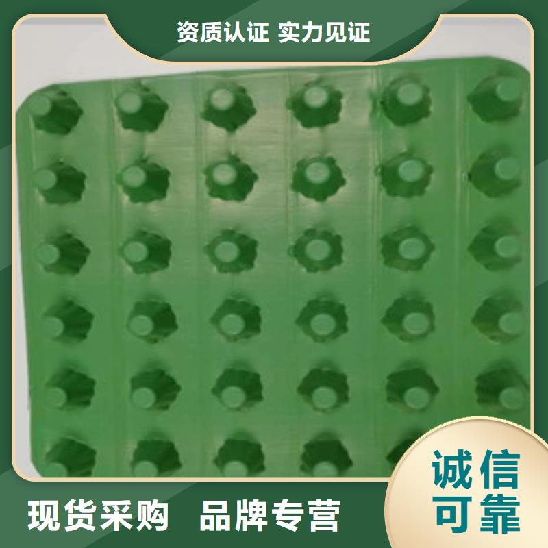 排水板膨润土防水毯厂家海量现货