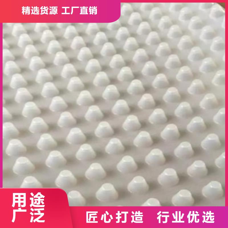 排水板_土工布厂家保障