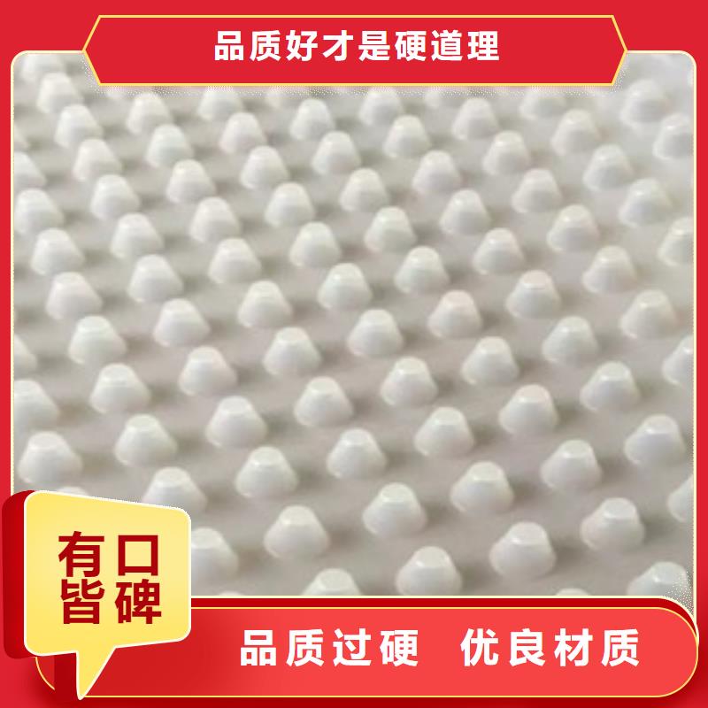 排水板,排水板厂家多年经验值得信赖
