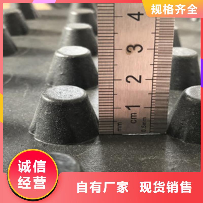 排水板_土工布厂家保障