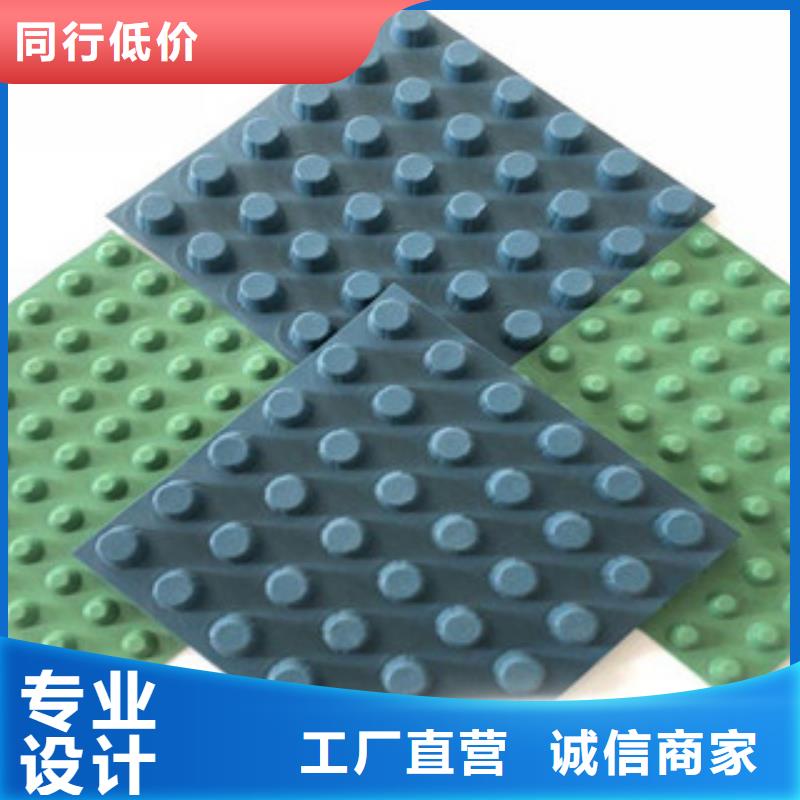 排水板,植草格厂家真实拍摄品质可靠