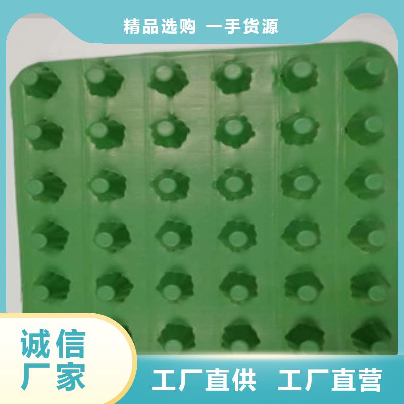 排水板土工膜厂家现货齐全售后无忧