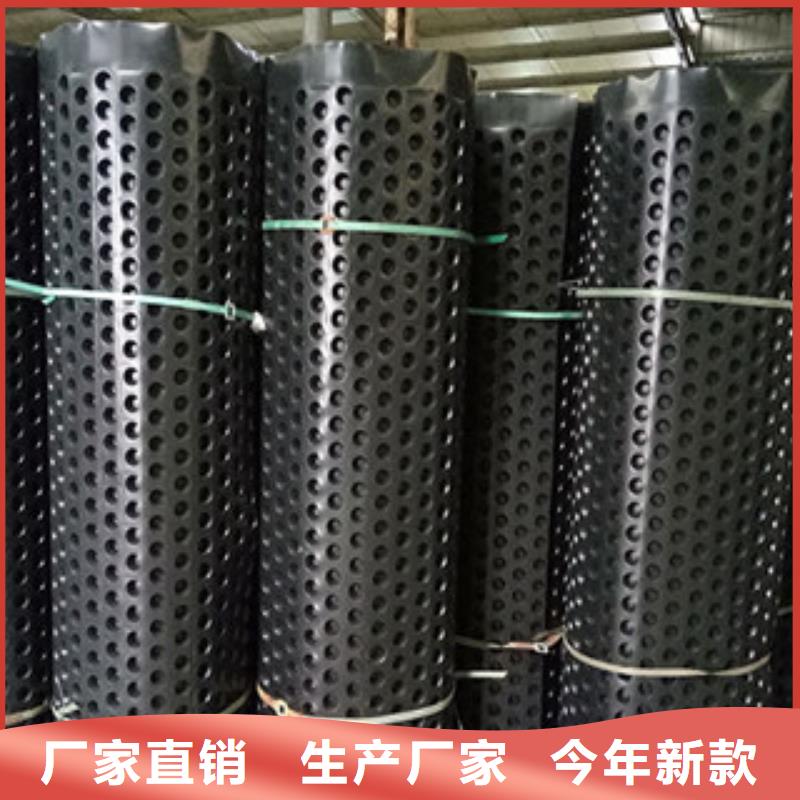 排水板,植草格厂家真实拍摄品质可靠