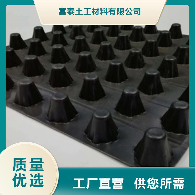 排水板,植草格厂家真实拍摄品质可靠