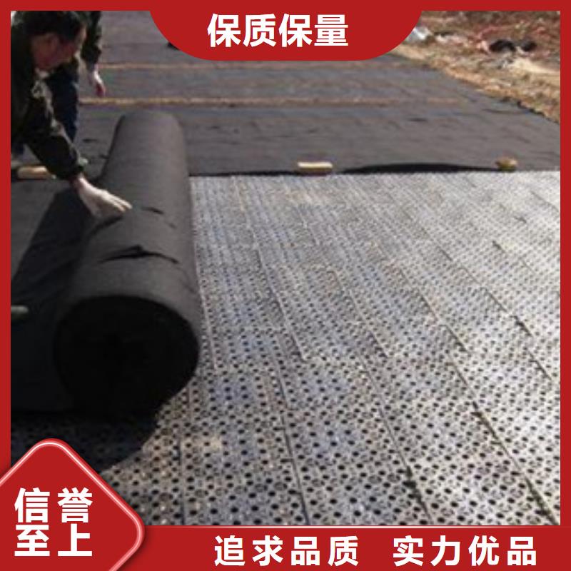 排水板,植草格厂家真实拍摄品质可靠