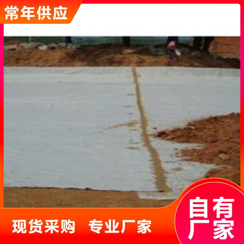 防水毯虹吸排水板厂家真材实料诚信经营