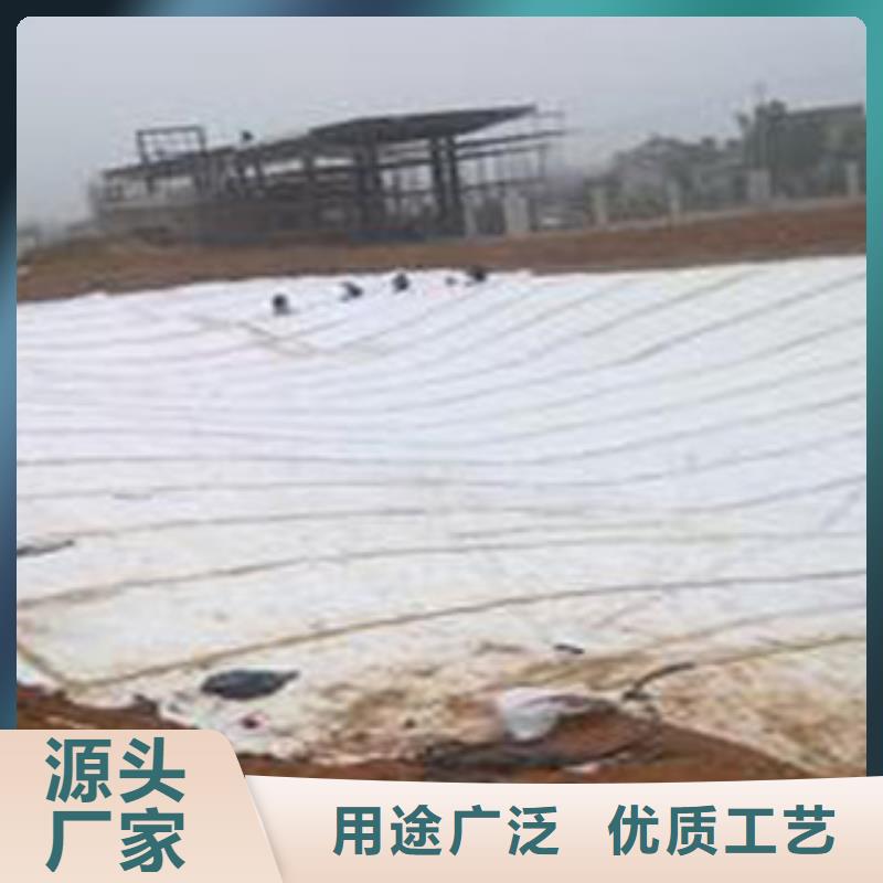 防水毯,土工膜厂家来图来样定制