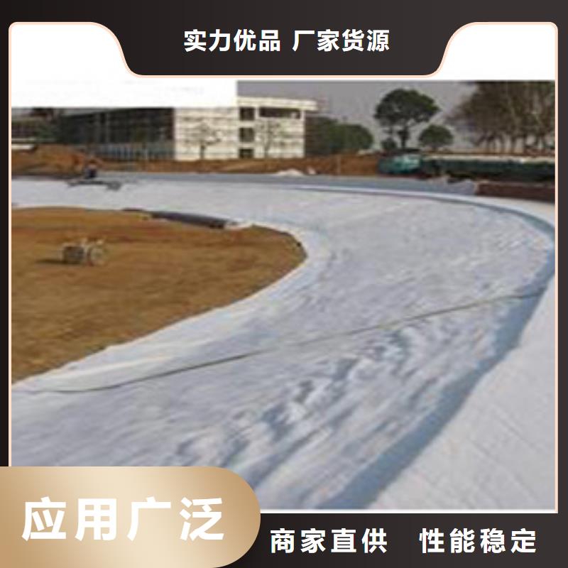 防水毯,土工膜厂家来图来样定制