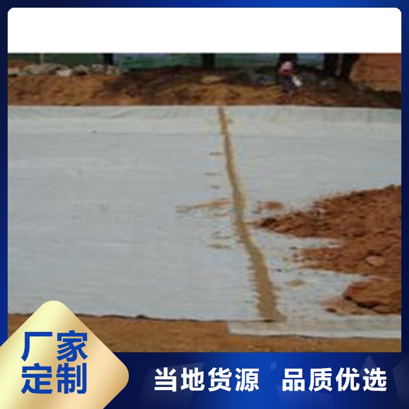 防水毯植草格厂家多种工艺