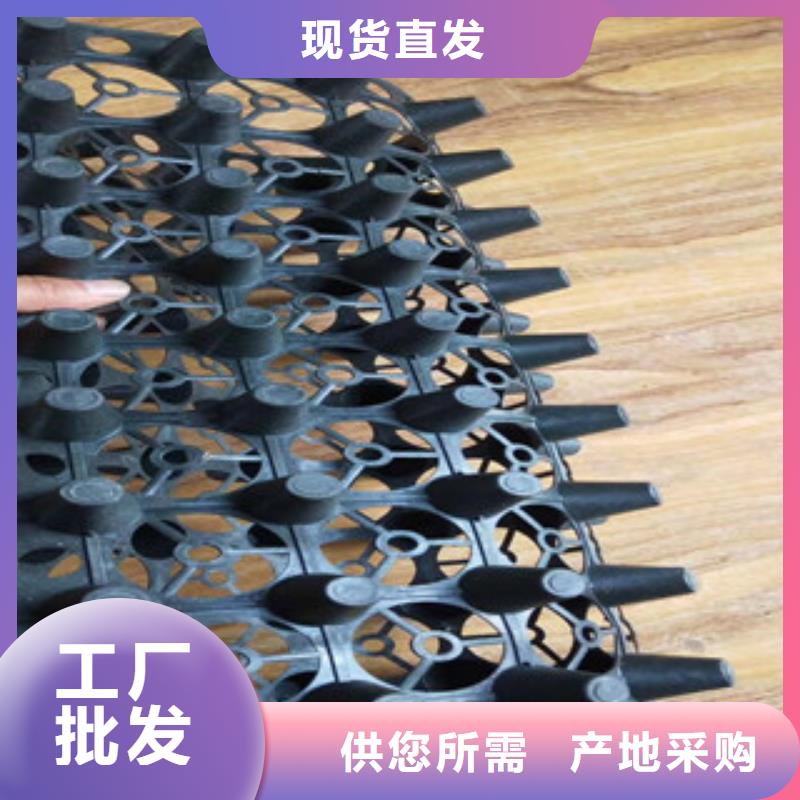 蓄排水板-土工布厂家匠心打造