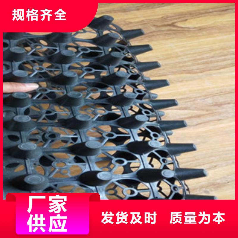 蓄排水板-土工膜厂家追求品质