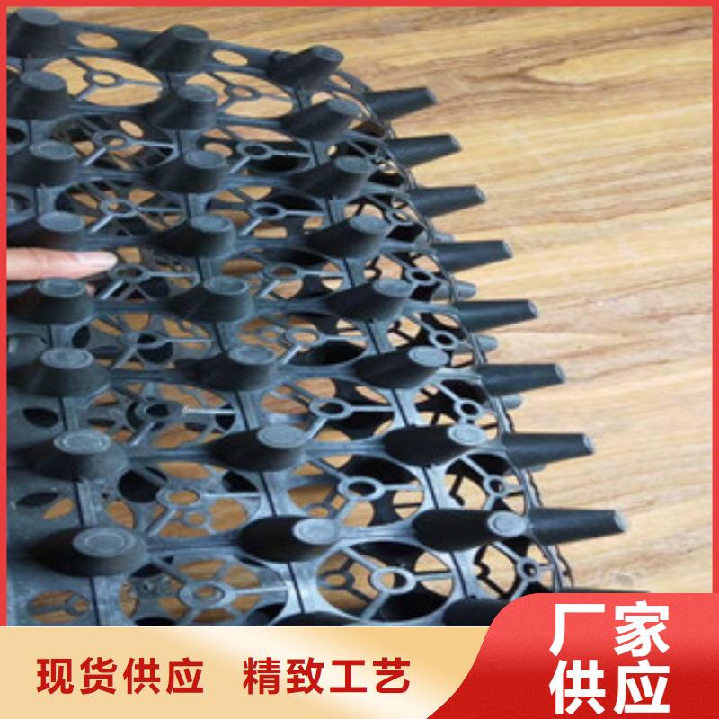 蓄排水板生态袋厂家购买的是放心