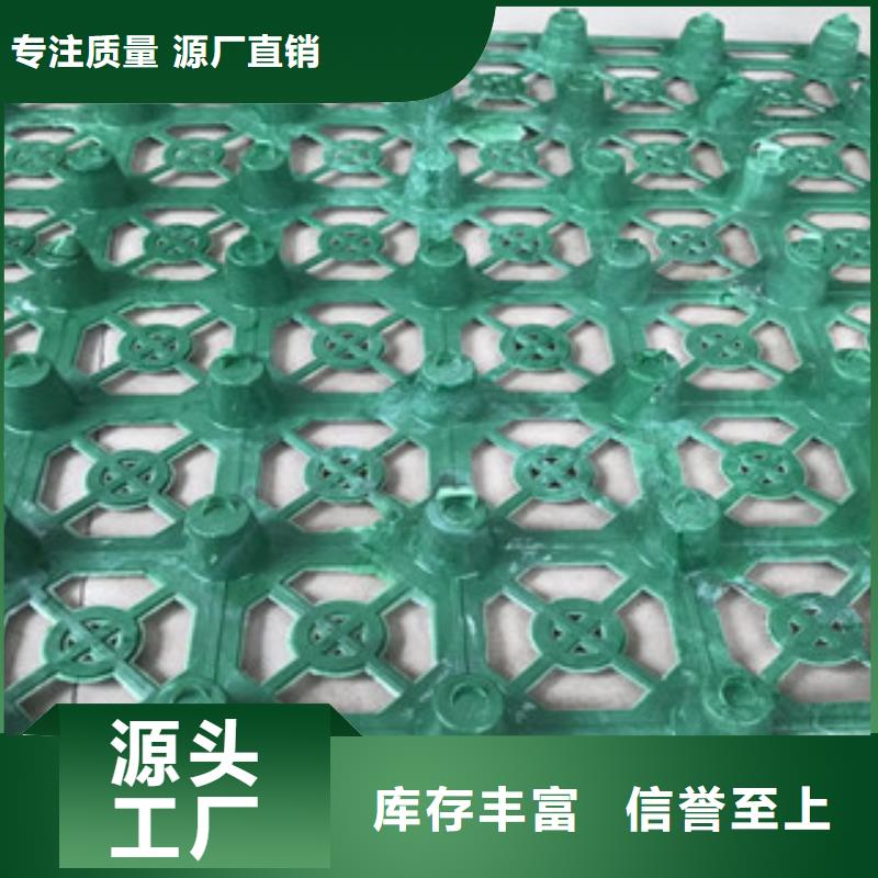 蓄排水板-土工膜厂家追求品质