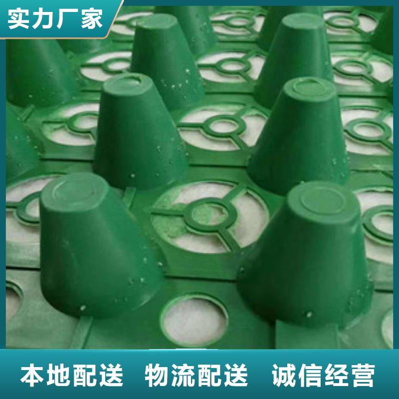 蓄排水板厂家视频-扬州|宿迁|淮安|常州|南通|镇江富泰蓄排水板厂家_ 富泰土工材料(江苏省分公司)