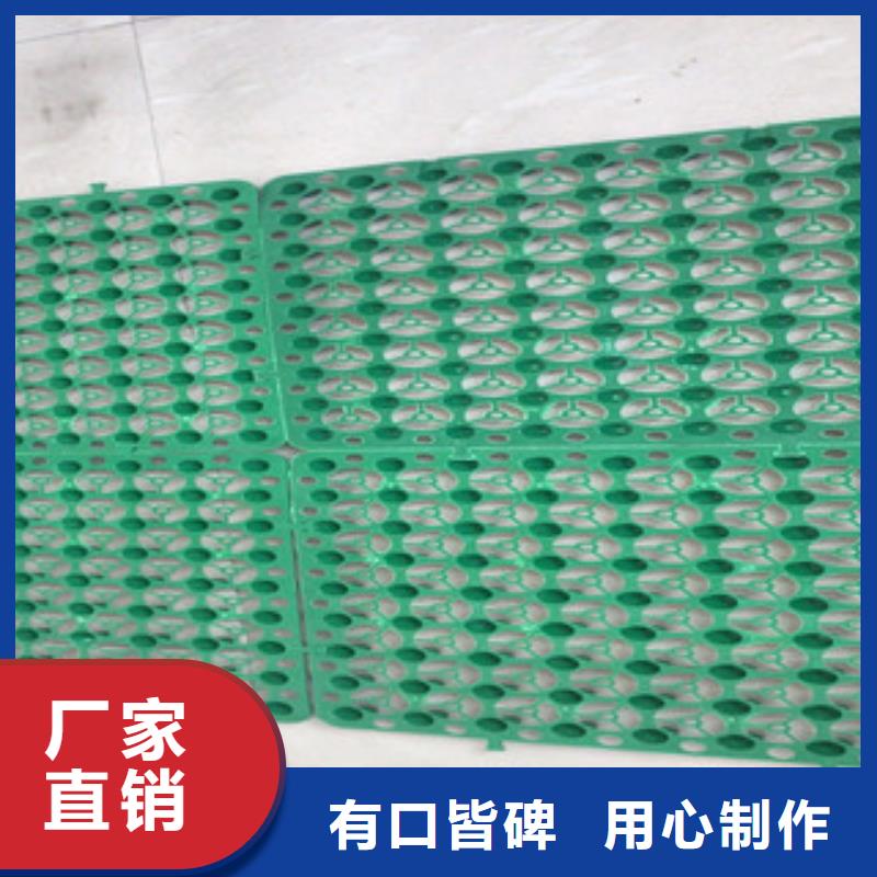 蓄排水板-土工膜厂家追求品质