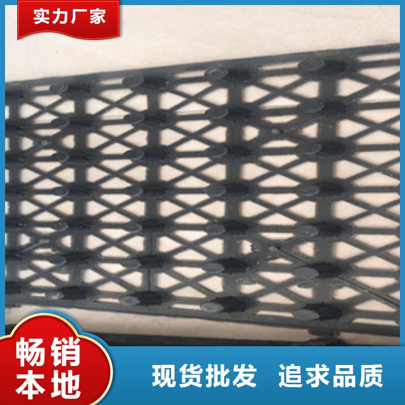 蓄排水板-土工膜厂家追求品质