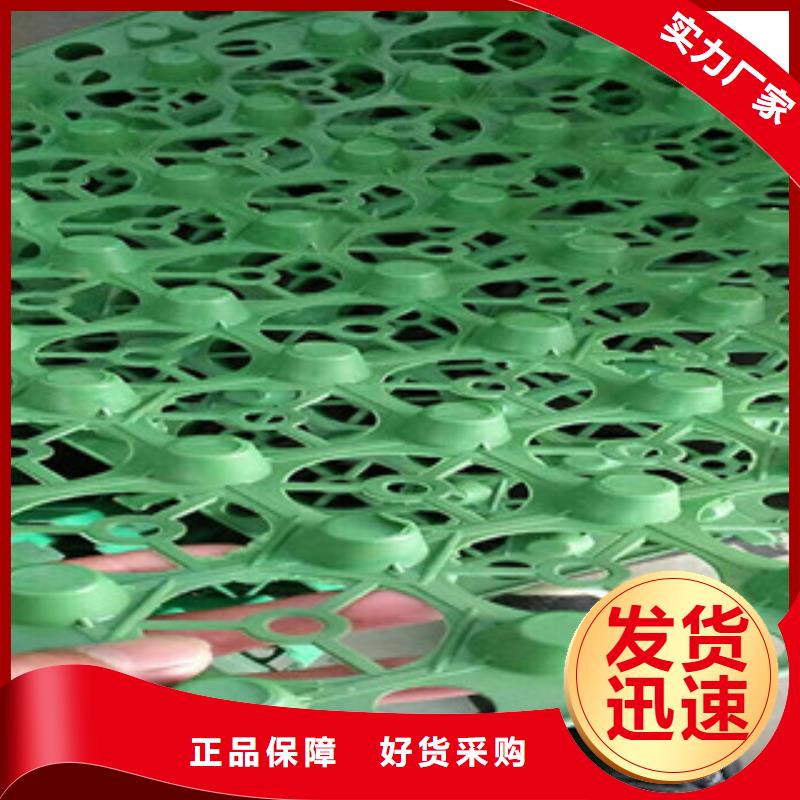 蓄排水板-土工膜厂家追求品质