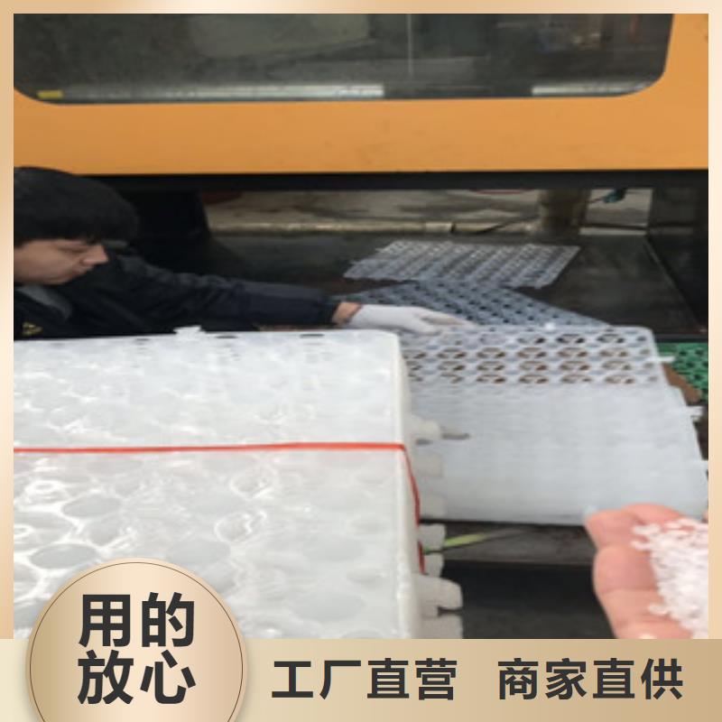 蓄排水板厂家视频-扬州|宿迁|淮安|常州|南通|镇江富泰蓄排水板厂家_ 富泰土工材料(江苏省分公司)