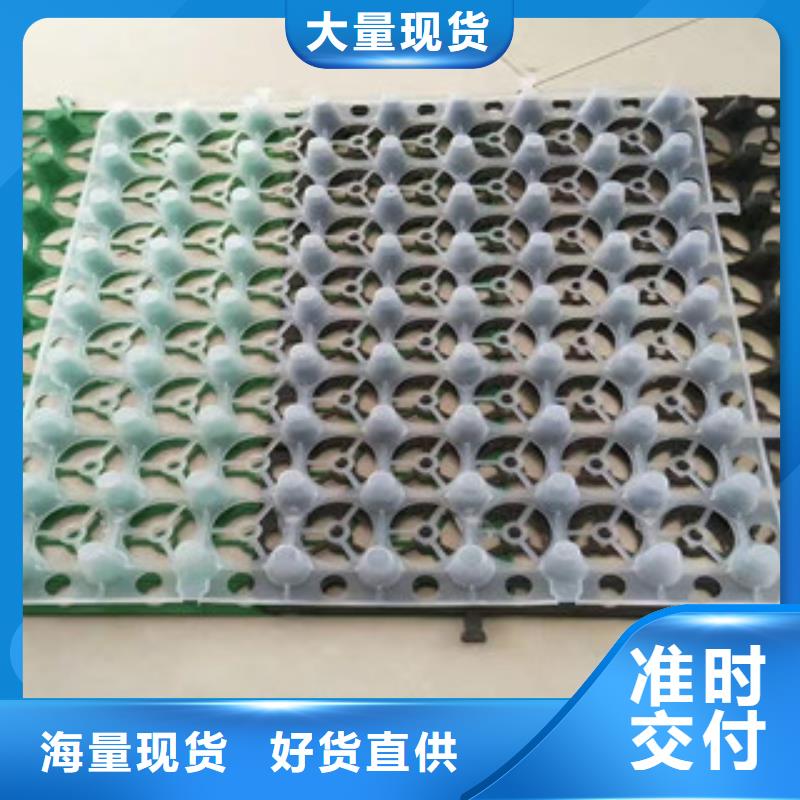 蓄排水板植草格厂家货源足质量好