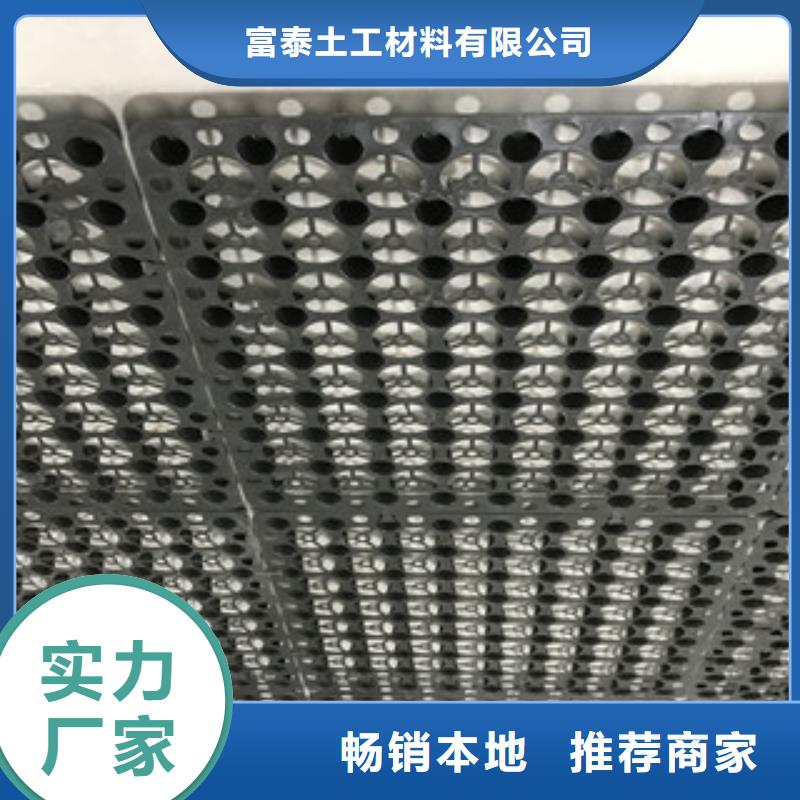蓄排水板植草格厂家精工打造
