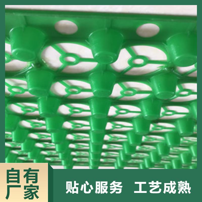 蓄排水板_土工布厂家使用方法