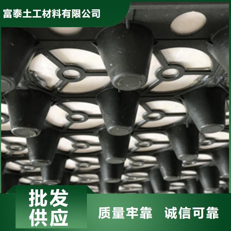 蓄排水板-土工膜厂家追求品质