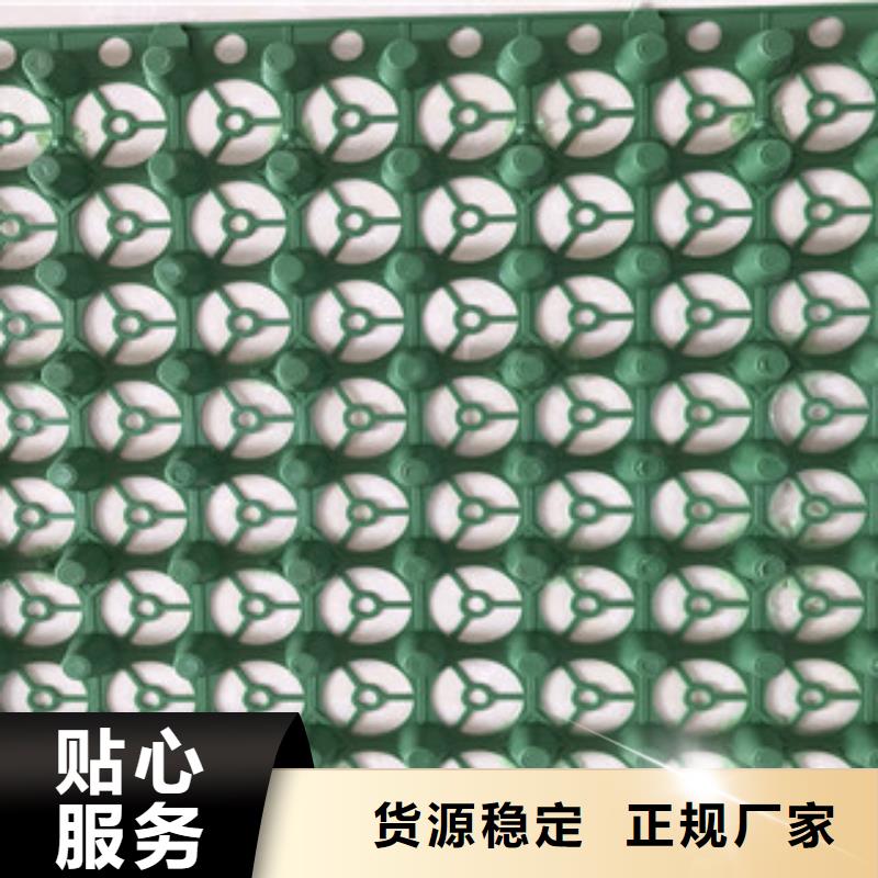 蓄排水板-土工膜厂家追求品质