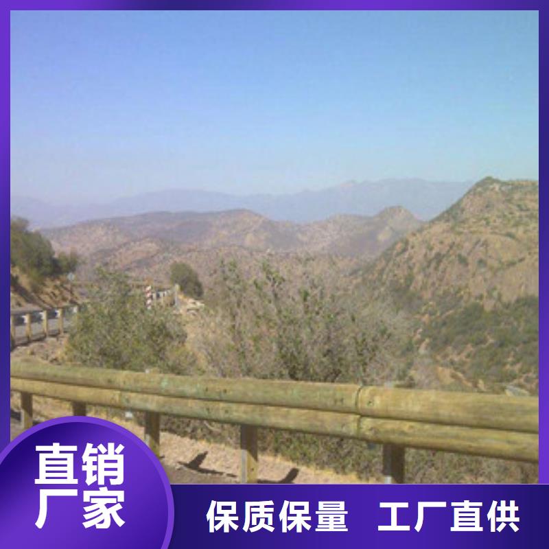 【钢背木护栏】桥梁防撞护栏货源直销-服务范围包括漠河|呼玛|佳木斯|绥化|齐齐哈尔|鹤岗|哈尔滨|牡丹江等