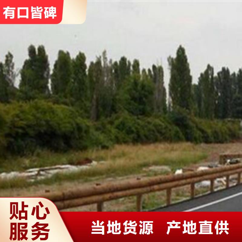 桥梁灯光护栏视频-桥梁灯光护栏|长治市|潞城|黎城|忻州|大同|阳泉|吕梁