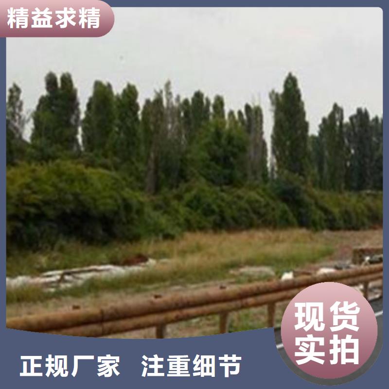 桥梁灯光护栏视频-桥梁灯光护栏-飞龙金属材料(商洛市分公司)服务区域商州|柞水|安康|西安|咸阳|宝鸡|汉中|榆林